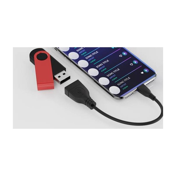 Xtech - USB cable - 5 pin Micro-USB Type B - 4 pin USB Type B - Black - XTC-368