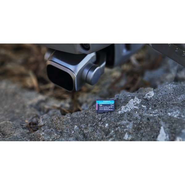 Kingston - Flash memory card - microSDXC - Canvas Go Plus Gen4 200MB/s A2 (SDCG4/1TB)