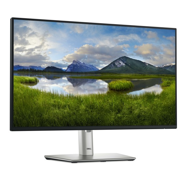 Dell P2425HE - LCD monitor - 23.8