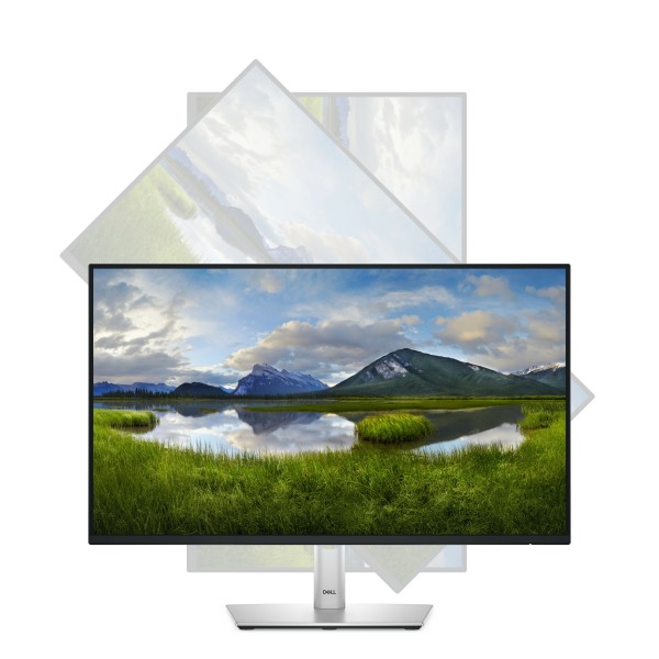 Dell P2425HE - LCD monitor - 23.8