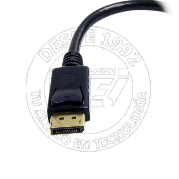 Adaptador de Video Displayport A Dvi - Conversor Dp - Hasta 1920X1200 (DP2DVI2)