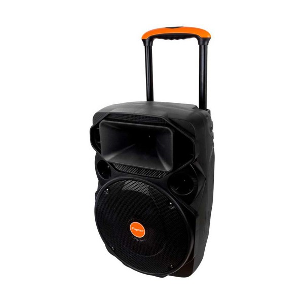 Amplificador Karaoke 12 L Bt Mic Wless USB Sd Fm (I160KARAOKEBT12L)