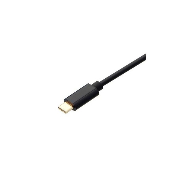 Cable Hdmi Macho A USB-c Macho En Caja Xtech Xtc-545 Negro (XTC-545)
