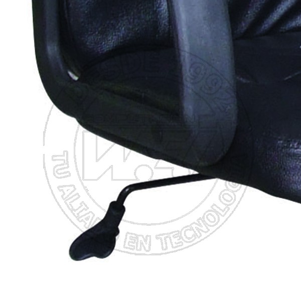 Silla Ejecutiva Con Reposabrazos (AM160GEN27)