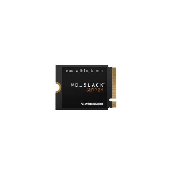 SSD  WDS100T3X0G-00CHY0 1TB M.2 (WDS100T3X0G-00CHY0)