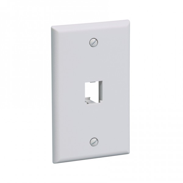 Placa de Pared y Cubierta de Interruptor Blanco (CFP1WH)