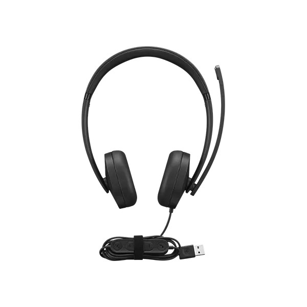 Lenovo - Headphones - USB-A Wired Stereo Headset Gen (4XD1P83425)
