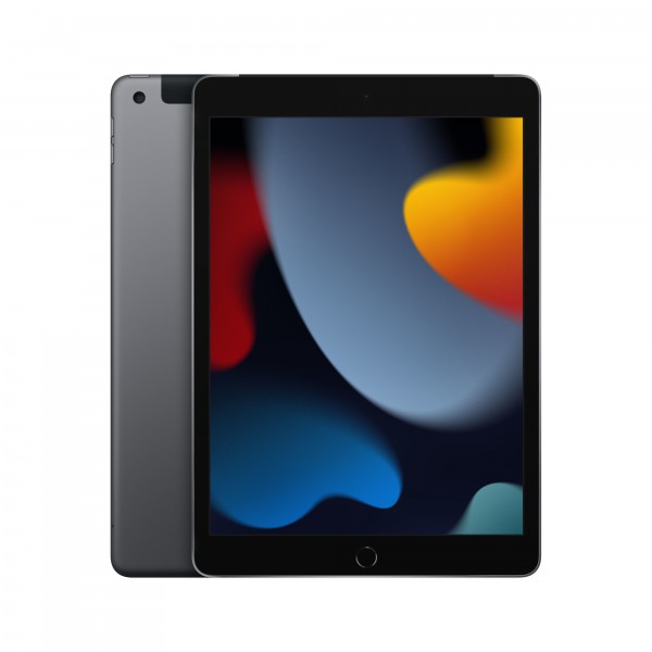 Ipad 4g Lte 256 Gb 25,9 Cm (10.2) Wi-Fi 5 (802.11ac) Ipados 15 Gris (MK4E3CI/A)