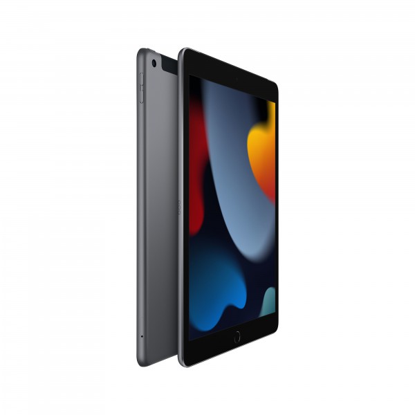 Ipad 4g Lte 256 Gb 25,9 Cm (10.2) Wi-Fi 5 (802.11ac) Ipados 15 Gris (MK4E3CI/A)