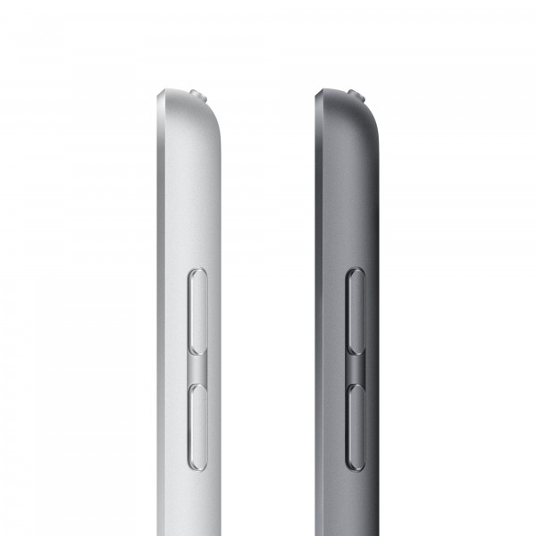 Ipad 4g Lte 256 Gb 25,9 Cm (10.2) Wi-Fi 5 (802.11ac) Ipados 15 Gris (MK4E3CI/A)