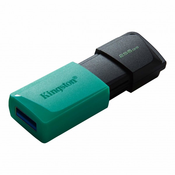 Pendrive Kingston Exodia USB 256 GB USB Tipo A 3.2 Gen 1 (DTXM/256GB)