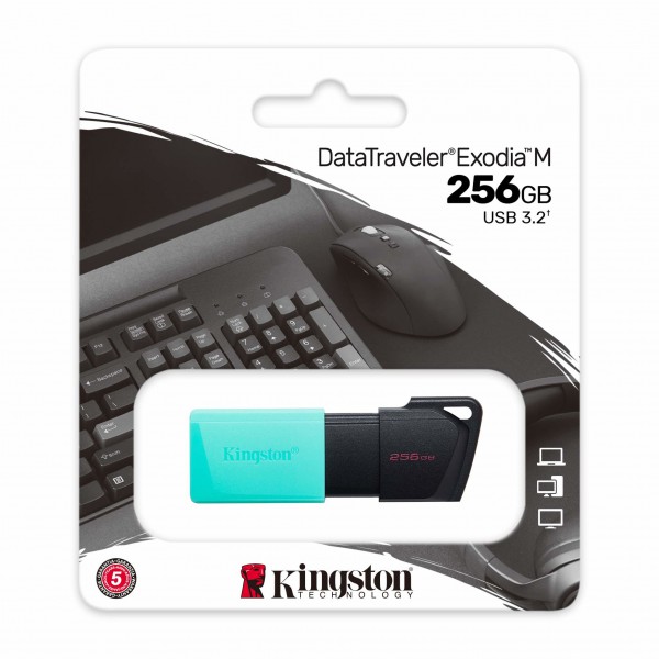Pendrive Kingston Exodia USB 256 GB USB Tipo A 3.2 Gen 1 (DTXM/256GB)