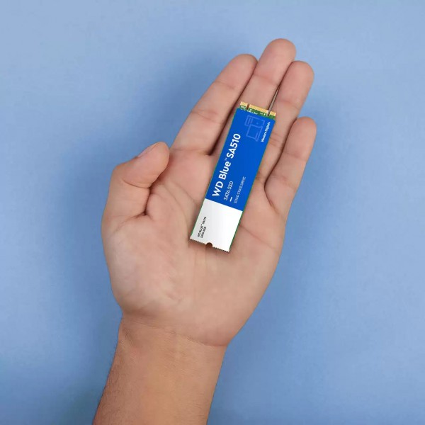 Unidad de Estado Sólido Blue Sa510 M.2 500 GB Serial Ata Iii (WDS500G3B0B)