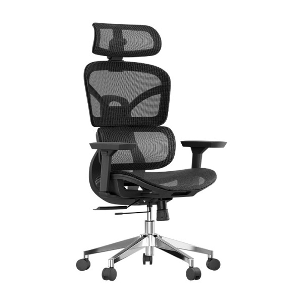 Xtech - Executive Chairs XTF-OC415