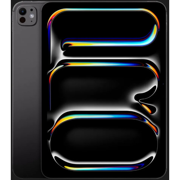IPAD PRO 13 WF CL 256GB SP BLK-CHL (MVXR3CI/A)
