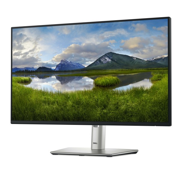 DELL MONITOR P2425H (P2425H)