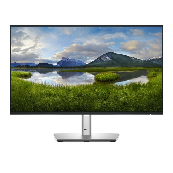 DELL MONITOR P2425H (P2425H)