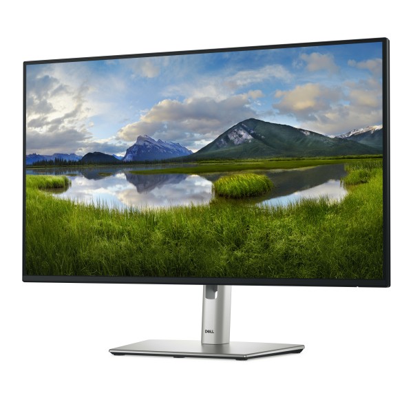 MONITOR P2725H (P2725H)
