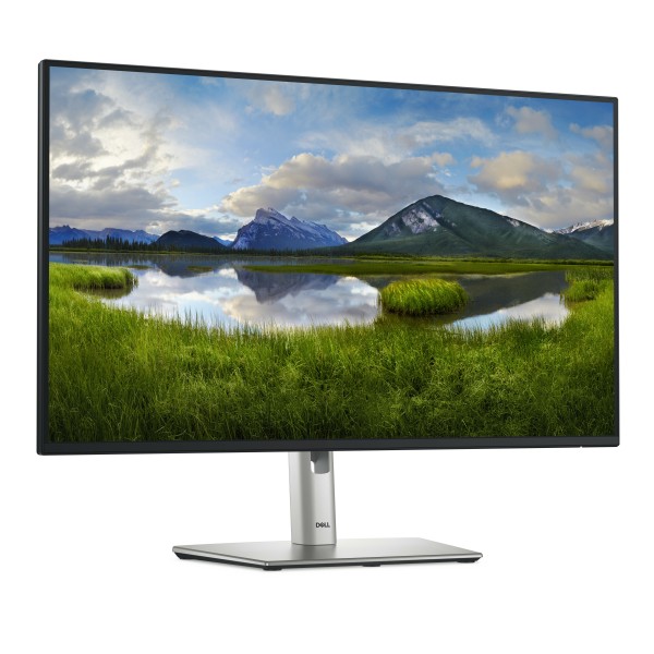 MONITOR P2725H (P2725H)