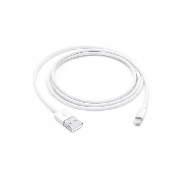LIGHTNING TO USB CABLE 1 M-AME