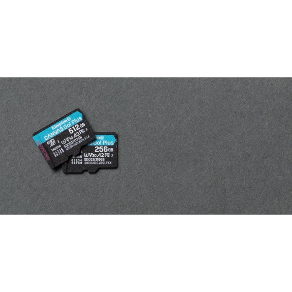 Tarjeta de Memoria  Canvas Go Plus 256 GB Sd Uhs I Clase 10 (SDCG3/256GB)